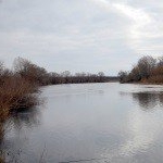 Profile Picture of Gillard (@gillardstephen) on Instagram