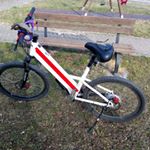 Profile Picture of Mario (@caldarolamc2) on Instagram