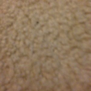 Profile Picture of Nic Ramirez (@nic_ramirez) on Myspace