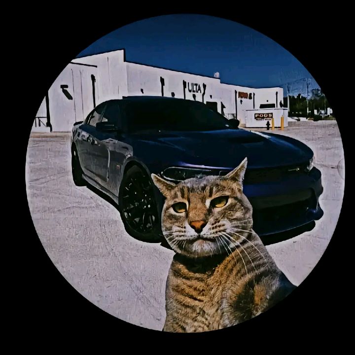 Profile Picture of Matthew Gar (@matthew.gar) on Tiktok
