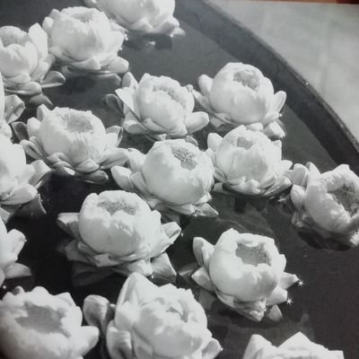 Profile Picture of Lapanon Twitter