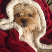 Profile Picture of Lisa Kennedy (@01lisaann) on Youtube