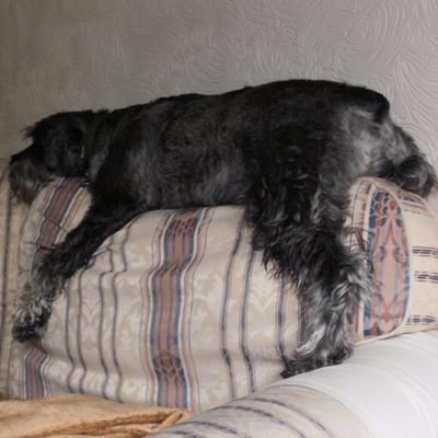 Profile Picture of Terence Kenny (@Terry194567) on Twitter