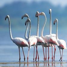 Profile Picture of Martin Escobedo (@MartinE45784970) on Twitter