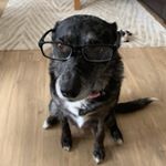 Profile Picture of Craig Jamieson (@craig.jamieson.125) on Instagram