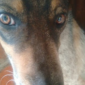 Profile Picture of Moro Moranchel (@moromoranchel5876) on Youtube