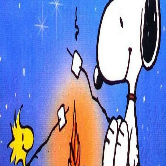 Profile Picture of Abel Rocha (@bosa2021) on Poshmark