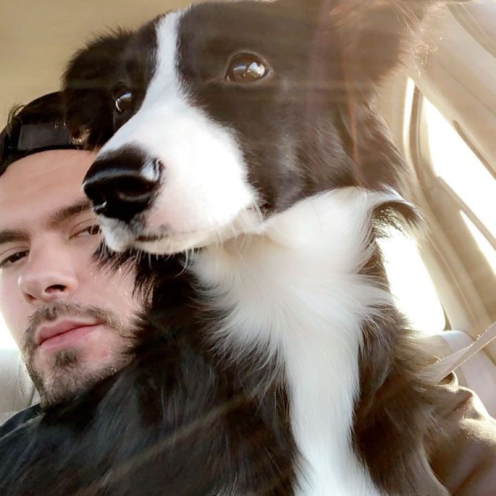 Profile Picture of pHiLip BEVINS (@philipbevins) on Tiktok