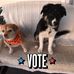 Profile Picture of Alice Blankenship (@alice.blankenship.3551) on Facebook
