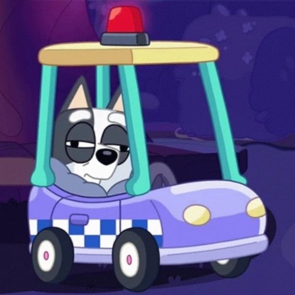 Profile Picture of Danny Savage (@airnomadloser69) on Poshmark