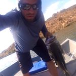 Profile Picture of Brian Farmer (@inthedel) on Instagram