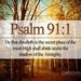 Profile Picture of Kenneth Denman (@kd8084) on Pinterest