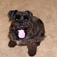 Jessica Fulghum - Quora Profile Picture of Jessica Fulghum (@jessica-fulghum-2) on Quora