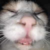 Profile Picture of Gregory (@xgregtoxicx) on Tiktok