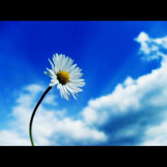 Profile Picture of Ann Basavarajappa (@annmarie80) on Poshmark