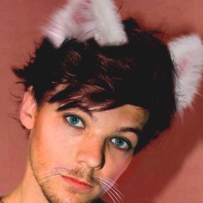 Profile Picture of Catboi Louis (@larry_inthesun) on Twitter