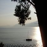 A. Diehl - schmuck + schönes - Instagram Profile Picture of A. Diehl - schmuck + schönes (@annerosediehl) on Instagram