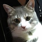 Profile Picture of Yukie Inoue (@yukie.inoue.77985) on Instagram