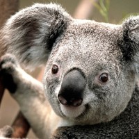 Profile Picture of Jacob Colbert (@jacob-colbert-7) on Quora