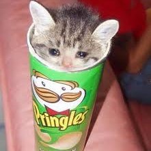 Profile Picture of Savannah Archer (@Savanna56182129) on Twitter