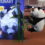 Profile Picture of Minascurtabogdan015@gmail.com (@minascurtabogdan015) on Instagram