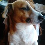 Profile Picture of keely Doyle (@keely_2003_doyle) on Instagram