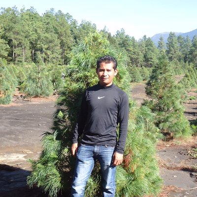 Profile Picture of Faustino Sigfrido Garcia Cruz (@GarciaSigfrido) on Twitter