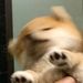 Profile Picture of sylvia._.c_ (@sylvia_changggg) on Pinterest