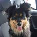 Profile Picture of Barbara Checklin (@barbara.checklin) on Facebook