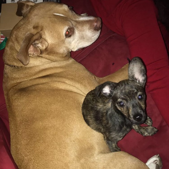 Profile Picture of Mckenna Bozych (@kenna3511) on Poshmark