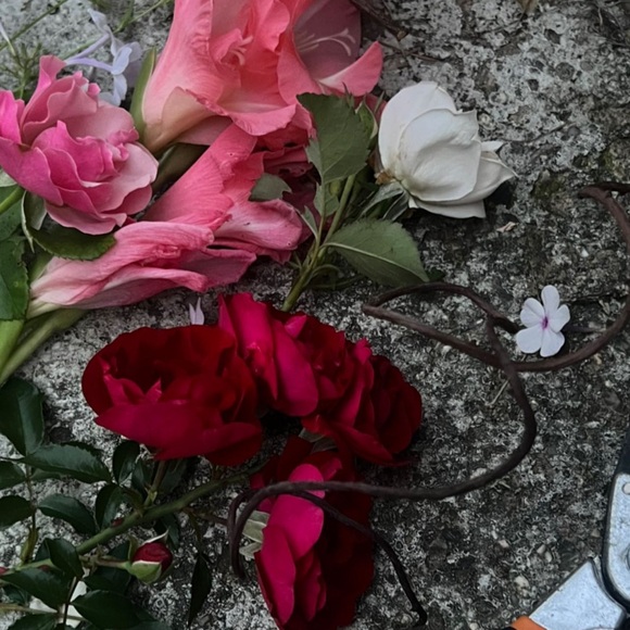 Profile Picture of Jessica Lamaj (@liljr0se) on Poshmark