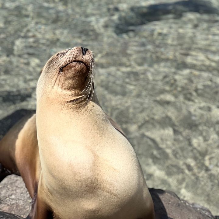 Profile Picture of Summerlinks (@summerlinks) on Tiktok