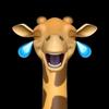 Profile Picture of Joshua Petre (@joshuapetre0) on Tiktok