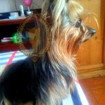 Profile Picture of Ornella Roxana (@ornellarox) on Instagram