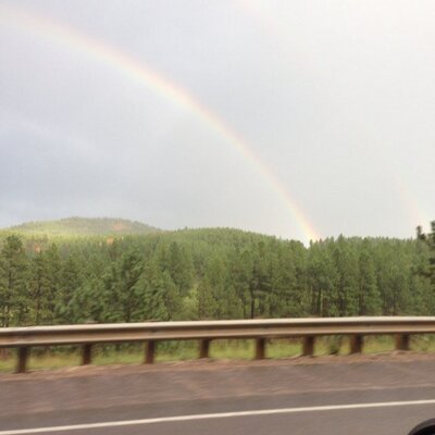 Profile Picture of Tammy Shoemaker (@totaza) on Twitter