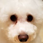 Profile Picture of Eloisa Dasal (@edasal23) on Instagram