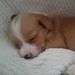 Profile Picture of Patrick Jerome (@ilovelikeboom) on Pinterest