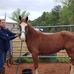 Profile Picture of Dave Walker (@dave.walker.5203) on Facebook
