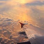 Profile Picture of Mark Trump (@Mark-Trump) on Facebook