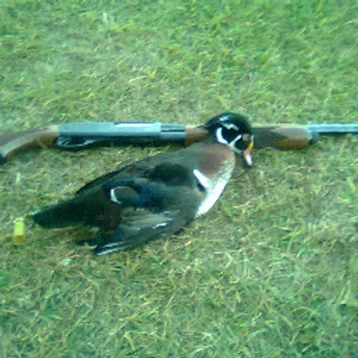 Profile Picture of Joe Kuhlmann (@DigitalTorn) on Twitter