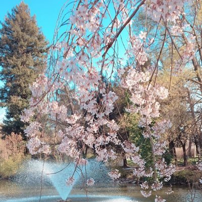 Profile Picture of LolaLu (@LolaLu32625566) on Twitter