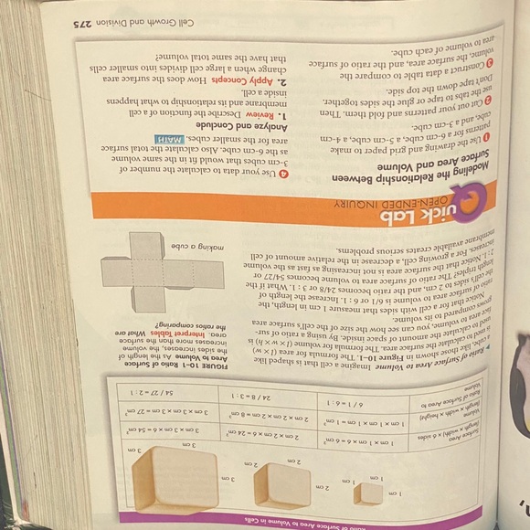 Profile Picture of Jesse Samsal (@bhsblythe) on Poshmark