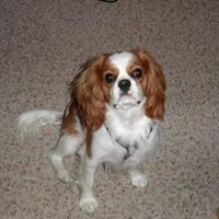 Profile Picture of Tiffany Patrick (@tiffany-patrick-11) on Quora