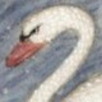 Profile Picture of Steve Munro (@SwanBoatSteve) on Twitter