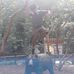 Profile Picture of Jonathan Tinoco (@jonathan.tinoco.1238) on Facebook