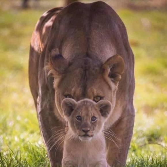 Paula-marie Quintana-abdulla - Poshmark Profile Picture of Paula-marie Quintana-abdulla (@pabdulla2) on Poshmark