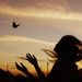 Profile Picture of ~~~~Pam Huebner ~~~~ (@pamhue) on Pinterest