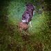 Profile Picture of Maureen Cahoon (@maureen.cahoon.10) on Facebook