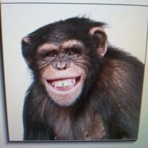 Profile Picture of Kim Wake (@wake_kim) on Twitter