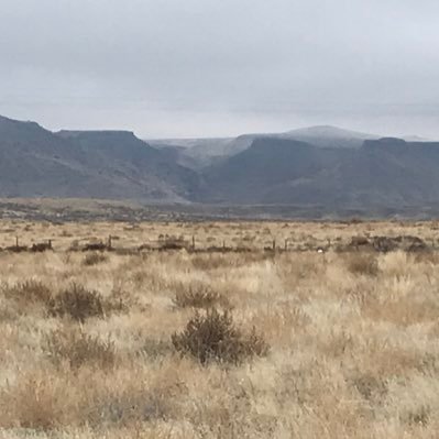 Profile Picture of Chris Kovac (@AGPArmyForums) on Twitter